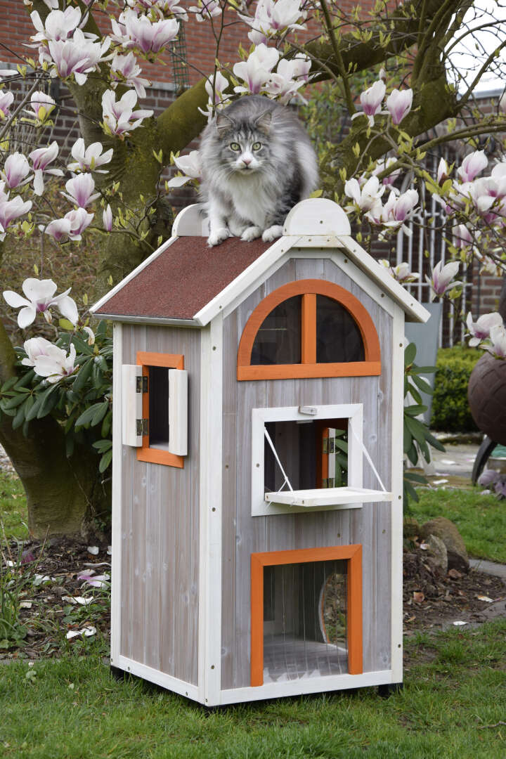 dobar Katzenhaus Fancy Cat